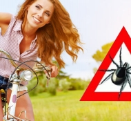 Кліщі – правила безпеки чи нехай зустрічі вдасться уникнути!