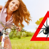 Кліщі – правила безпеки чи нехай зустрічі вдасться уникнути!