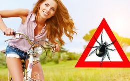 Кліщі – правила безпеки чи нехай зустрічі вдасться уникнути!
